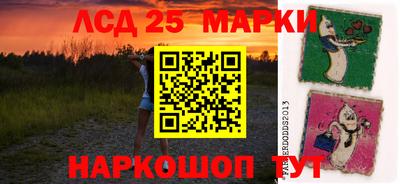 гидропоника Можга