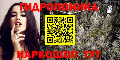 гидропоника Можга