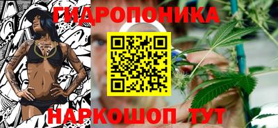 гидропоника Можга
