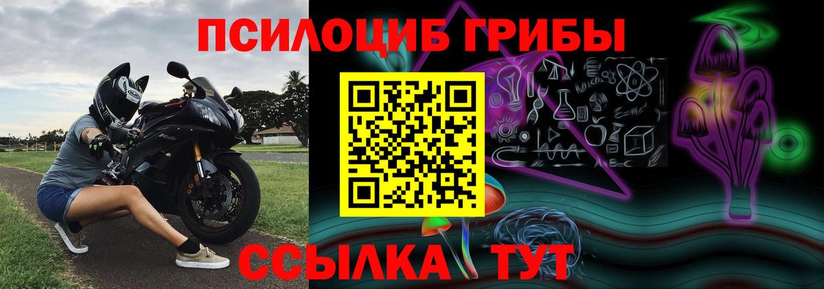 Псилоцибиновые грибы Psilocybine cubensis  Вход с VPN  Томск 